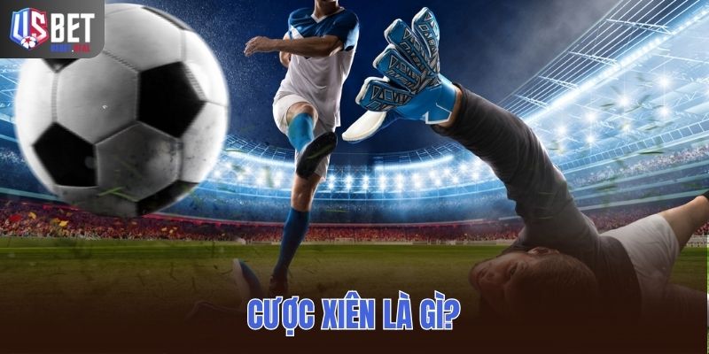 Cược xiên là gì dưới góc nhìn người mới tìm hiểu