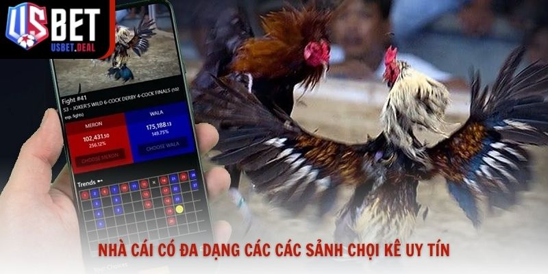 Nhà cái có đa dạng các các sảnh chọi kê uy tín