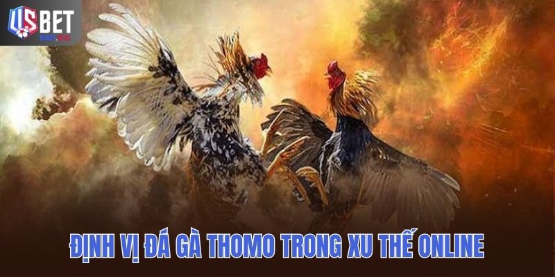 Định vị đá gà thomo trong xu thế online